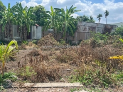 T2065 🔥 đất thạnh lộc 41 q12, shr, vuông, 3.6x12.5m, 1.x tỷ