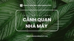 Thi công cảnh quan nhà máy đồng nai, tphcm