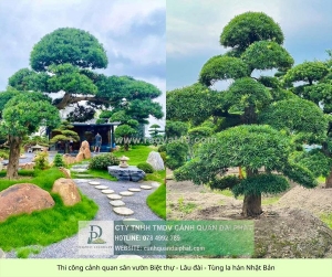 Thi công cảnh quan sân vườn biệt thự trọn gói – liên hệ ngay để nhận báo giá