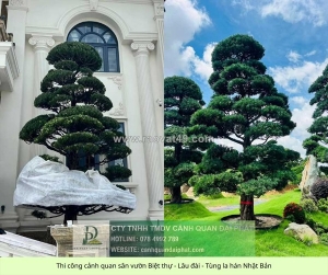 Thi công cảnh quan sân vườn biệt thự trọn gói – liên hệ ngay để nhận báo giá