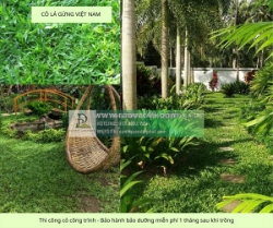 Thi công cây xanh – thảm cỏ công trình tại đồng nai, bình dương, tphcm, vũng tàu,...