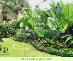 Thiết kế thi công cảnh quan sân vườn mới nhất 2026