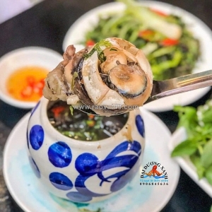 Thố mắt cá ngừ đại dương hầm