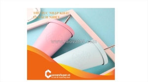 Thủ tục nhập khẩu ly cách nhiệt