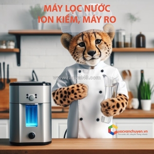Thủ tục nhập khẩu máy lọc nước ion kiềm