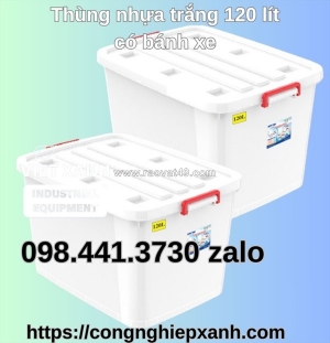 Thùng nhựa trong có nắp cho hàng dễ vỡ