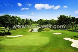 Trồng và chăm sóc cỏ đẹp giá cả phải chăng