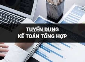 Tuyển dụng kế toán tổng hợp tại hải phòng