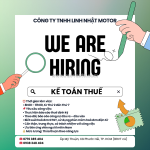 Tuyển kế toán báo cáo thuế brvt