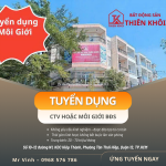 Tuyển môi giới bất động sản tự do