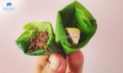 Vì sao ăn trầu hay ra hiện tượng răng dễ xỉn màu