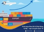 Vietcargo - cung cấp dịch vụ xuất nhập khẩu hàng hóa chuyên nghiệp, toàn diện