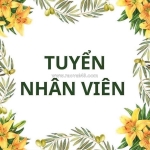Vy spa tuyển lễ tân spa làm tại him lam q7