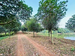 🌿 bán 1ha đất có thổ cư – cách vĩnh yên chỉ 6km. giá 6.7 tỷ