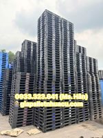 📢 bán pallet nhựa tại bảo lộc – uy tín, giao hàng nhanh 🚛
