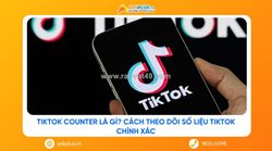 Tips dùng tiktok counter theo dõi chỉ số trực tuyến và phương pháp đánh giá kênh video ngắn