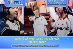 Ba “chú cá nhỏ” lcp sẽ tạo bất ngờ tại cktg 2026?