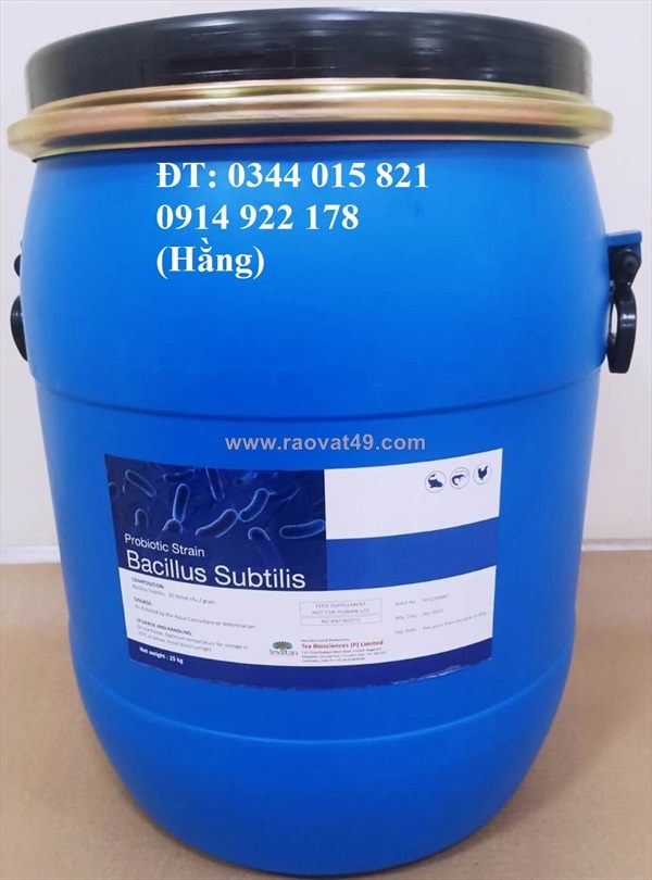 Bacillus subtilis, bổ sung lợi khuẩn, hỗ trợ đường ruột cho tôm cá