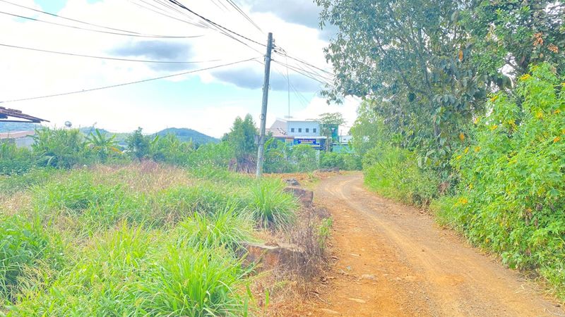 Bán 462m2 hẻm gần ngã 3 hoa mặt trời, đức trọng, lâm đồng