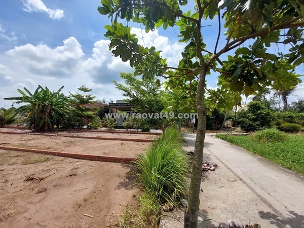 ~/Img/2026/10/ban-lo-dat-tho-cu-vi-tri-dep-tai-ap-6-xa-tan-trach-can-duoc-long-an-lh0903187068-02.jpg