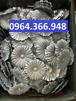 Bông cúc tôn dập kết hợp hoa cúc kẻ và hoa cúc chấm