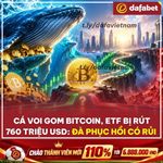 Cá voi gom bitcoin, etf bị rút 760 triệu usd: btc sắp đảo chiều hay chỉ là nhịp hồi bán xuống?