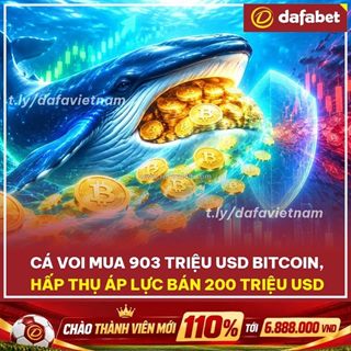 Cá voi mạnh tay gom 903 triệu usd bitcoin – hấp thụ áp lực bán 200 triệu usd!