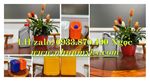 Can nhựa 0.5 lít, 1000ml, 2 lít, 5 lít có sản xuất tại vĩnh long, cần thơ, long an, sóc trăng..