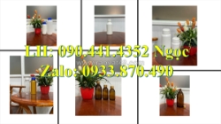 Chai nhựa 1 lít đựng gel, chai nhựa 0.5 lít đựng chất dưỡng ẩm, chai lọ 250ml đựng hóa chất dạng sệt