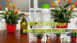 Chai nhựa 250ml đựng nhớt, chai nhựa 500ml đựng chất nhờn dộng cơ, chai 100ml chiết hóa chất