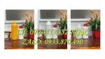 Chai thủy tinh 1 lít đựng dầu dừa, bình thủy tinh 500ml đựng tinh dầu, lọ thủy tinh 250ml đựng tinh dầu trẻ em
