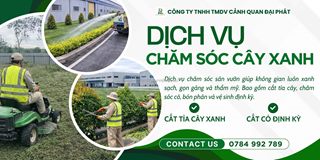 Chăm sóc cây xanh – thảm cỏ kcn long đức đồng nai