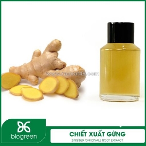 Chiết xuất gừng - nguyên liệu mỹ phẩm thiên nhiên