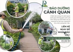 Công ty cây xanh uy tín đồng nai – thi công & chăm sóc cảnh quan