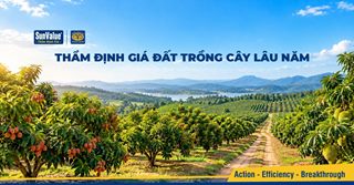 Đất trồng cây lâu năm gần khu dân cư có giá cao hơn?