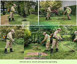 Dịch vụ cắt cỏ – cưa cây đồng nai | báo giá nhanh chóng