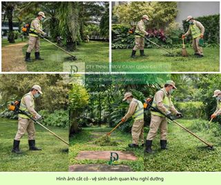Dịch vụ cắt cỏ – cưa cây đồng nai | báo giá nhanh chóng