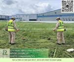 Dịch vụ cắt cỏ – phát hoang kcn nhơn trạch, đồng nai
