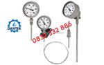 Đồng hồ nhiệt độ wise t239 – giải pháp đo và theo dõi nhiệt độ hiệu quả cho hệ thống công nghiệp