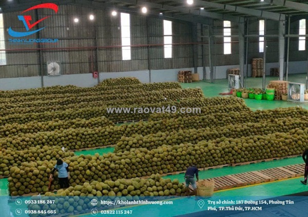 Giải pháp kho lạnh sầu riêng cho cơ sở thu mua, sơ chế và phân phối