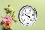 Khám phá cấu tạo và thông số kỹ thuật của đồng hồ nhiệt độ wise t114 chính hãng tại dantek