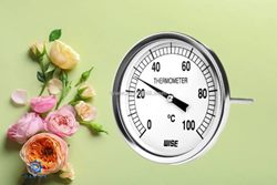 Khám phá cấu tạo và thông số kỹ thuật của đồng hồ nhiệt độ wise t114 chính hãng tại dantek