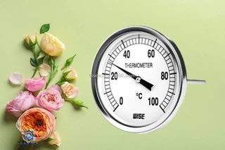 Khám phá cấu tạo và thông số kỹ thuật của đồng hồ nhiệt độ wise t114 chính hãng tại dantek