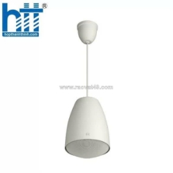Loa treo trần toa pe-304