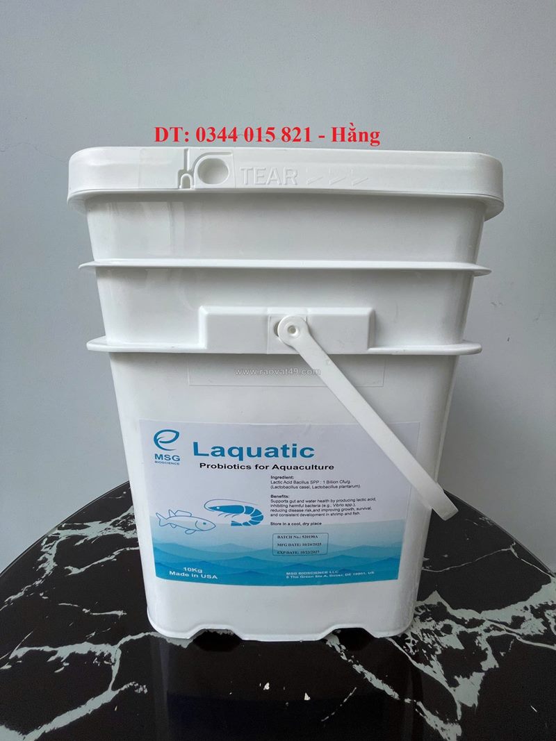 Men vi sinh lactobacillus casei và latobacillus plantarum, ổn định môi trường nuôi tôm cá