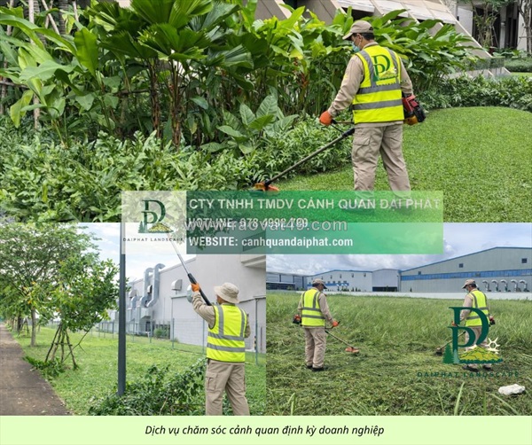 Nhà cung cấp dịch vụ cảnh quan đồng nai