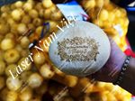 Nhận khắc logo lên dừa - tạo dấu ấn riêng cho mọi sự kiện