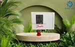 Những lợi ích thiết thực của công tắc áp suất danfoss kp36 khi lựa chọn tại dantek