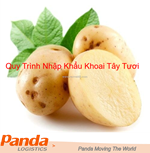 Quy trình nhập khẩu khoai tây tươi