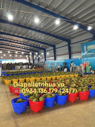 Rổ, sóng, sọt tại vĩnh long